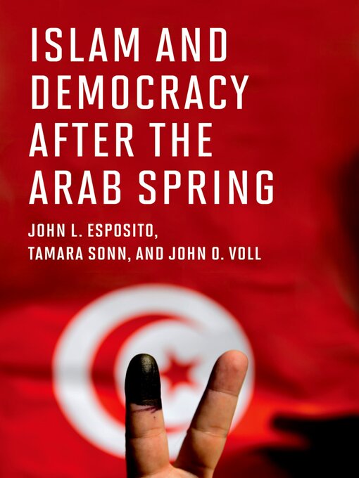 Islam and Democracy after the Arab Spring 책표지